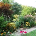 Maria's Backyard 2 Maria's Backyard 2