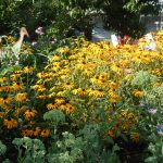 Nance's Garden Nance's Garden