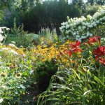 Nance's Garden Nance's Garden