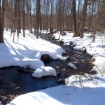 Maria H Winter Garden Maria H Winter Garden