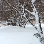 Maria H Winter Garden Maria H Winter Garden