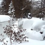 Maria H Winter Garden Maria H Winter Garden