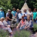 Lavender Farm Sept 2021 Lavender Farm Sept 2021