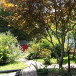 MariaH Back Yard MariaH Back Yard