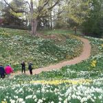 Reeves Reed Sept 2021 Reeves Reed Sept 2021