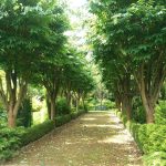 Paxson Hill Farm June 2022 Paxson Hill Farm June 2022