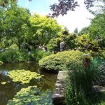 Paxson Hill Farm June 2022 Paxson Hill Farm June 2022