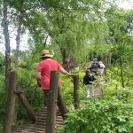 Paxson Hill Farm June 2022 Paxson Hill Farm June 2022