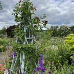 Wave Hill June 2024 Wave Hill June 2024