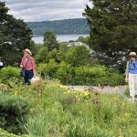 Wave Hill June 2024 Wave Hill June 2024